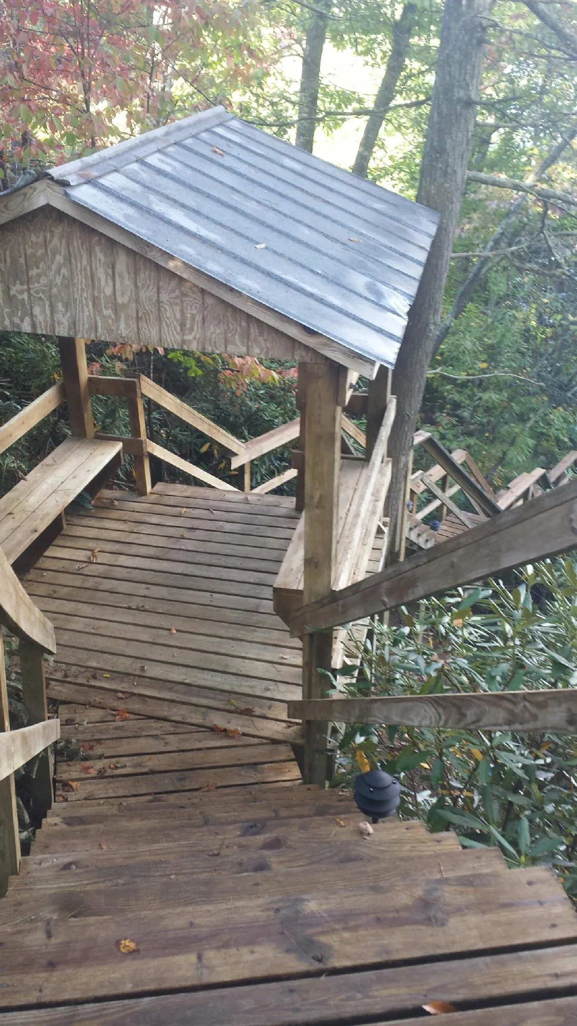 Metal roofed shelter over wooden steps on a wooded walkway — Skylight Repair & Installation work by our crew in Munford