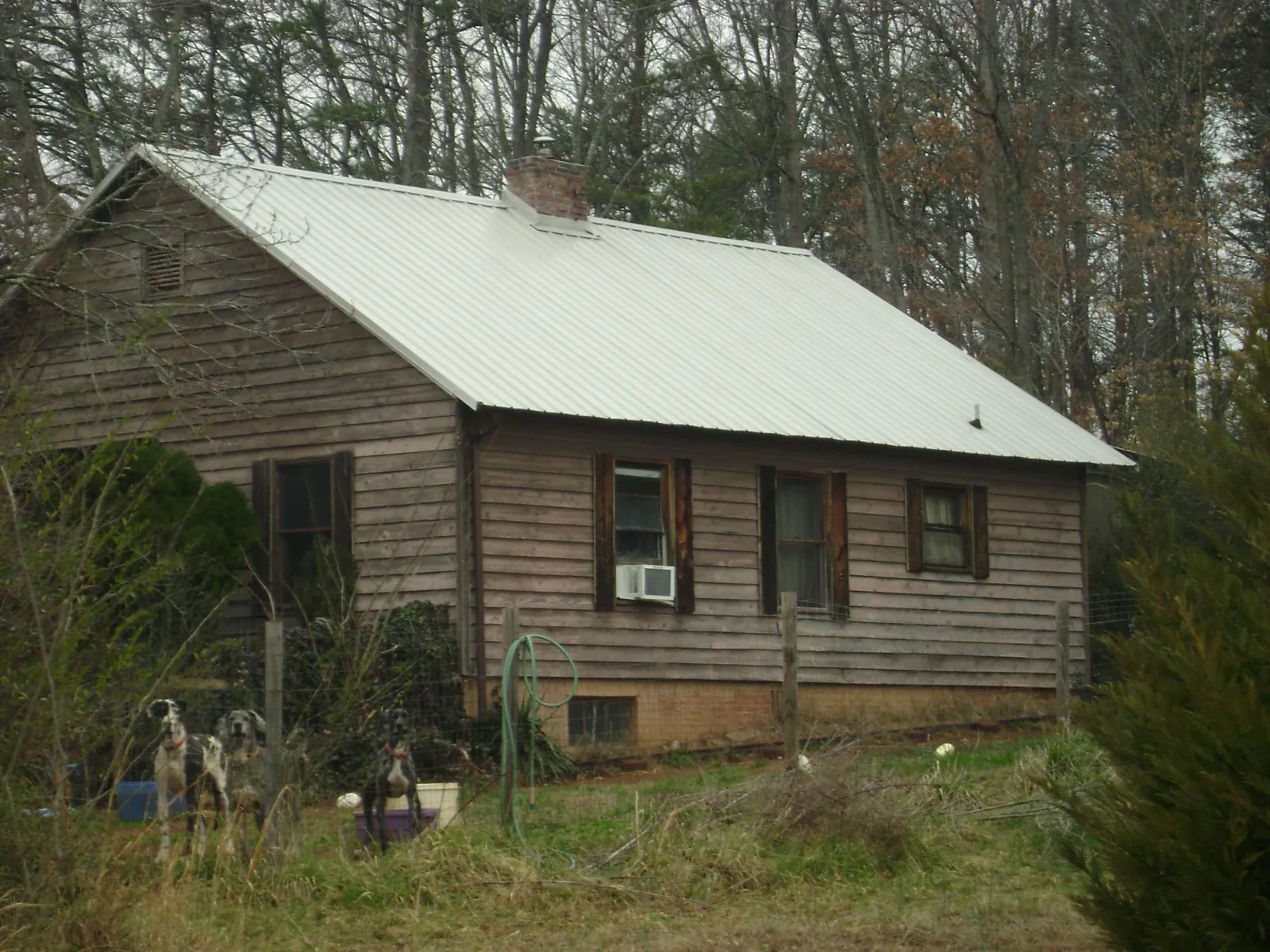 White metal roof on an old wood sided farmhouse, from a Asphalt Shingle Roof Repair job in Munford